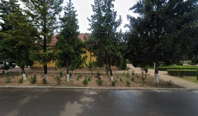 Bancomat ATM Gătaia 307185