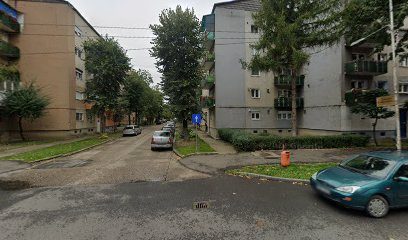 Bancomat BRD Municipiul Satu Mare