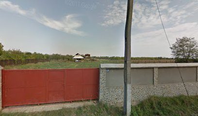 Bancomat BRD Strada Democrației Nr. 73