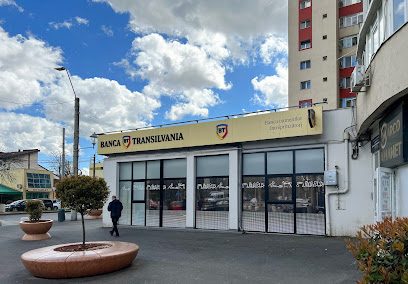 Bancomat Banca Transilvania Bulevardul Constantin Brâncoveanu 114 Bloc M1/1