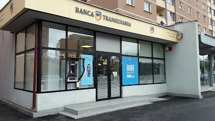 Bancomat Banca Transilvania Calea București 92