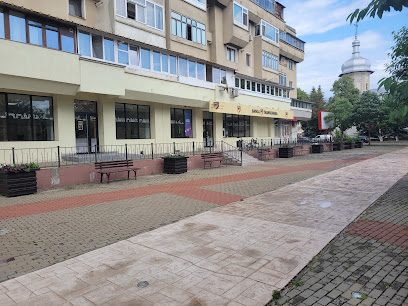 Bancomat Banca Transilvania Pietonal Ștefan cel Mare