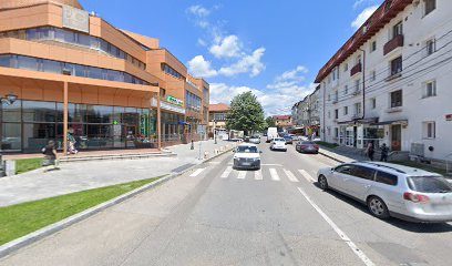 Bancomat Banca Transilvania Str. Negru Vodă 129 Pitești