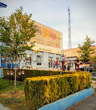 Bancomat Banca Transilvania Strada General Eremia Grigorescu 101 Complex B