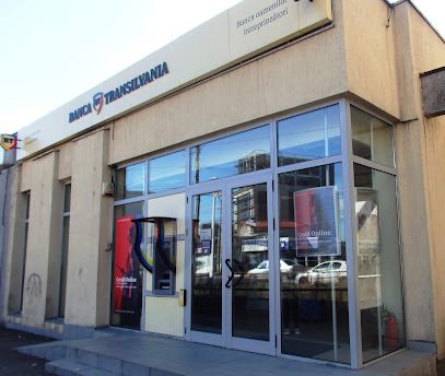Bancomat Banca Transilvania Strada Gheorghe Grigore Cantacuzino 271