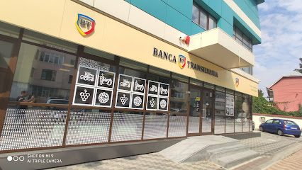 Bancomat Banca Transilvania Strada Gheorghe Petrașcu 30