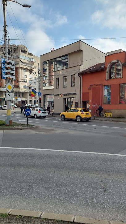 Bancomat Banca Transilvania Strada Milton Lehrer 22