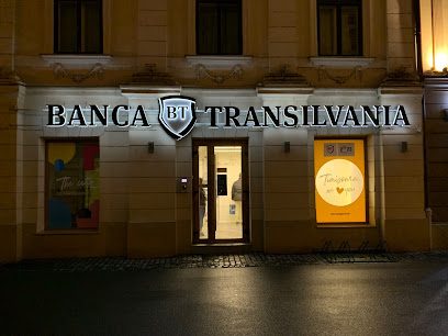 Bancomat Banca Transilvania Strada Palanca 2