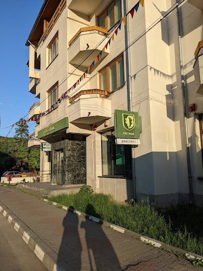 Bancomat CEC Bank - Agentia SLANIC Strada Vasile Alecsandri 6