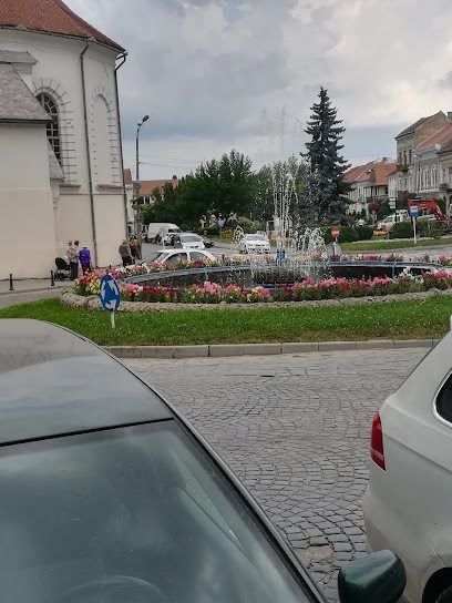 Bancomat Raiffeisen Bank Curtea 20 nr. 1