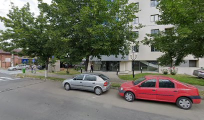 Bancomat Raiffeisen Bank Strada Dobrogei 52
