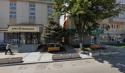 Bancomat Raiffeisen Bank Strada Nicolae Titulescu 75